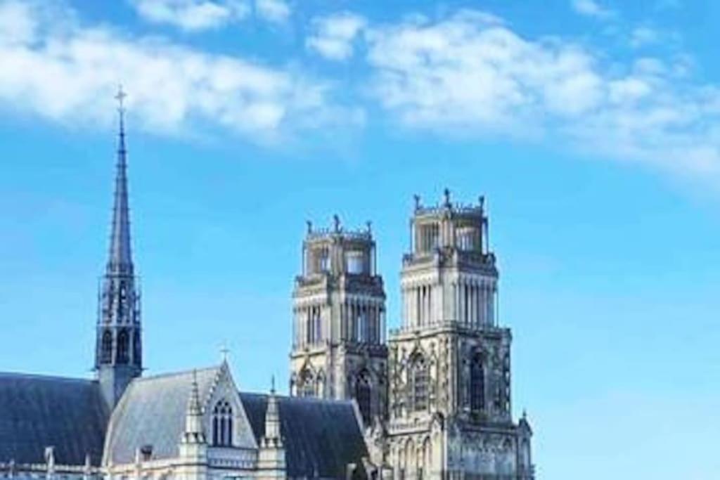 Superbe Appartement En Coeur De Ville Orleans Ngoại thất bức ảnh